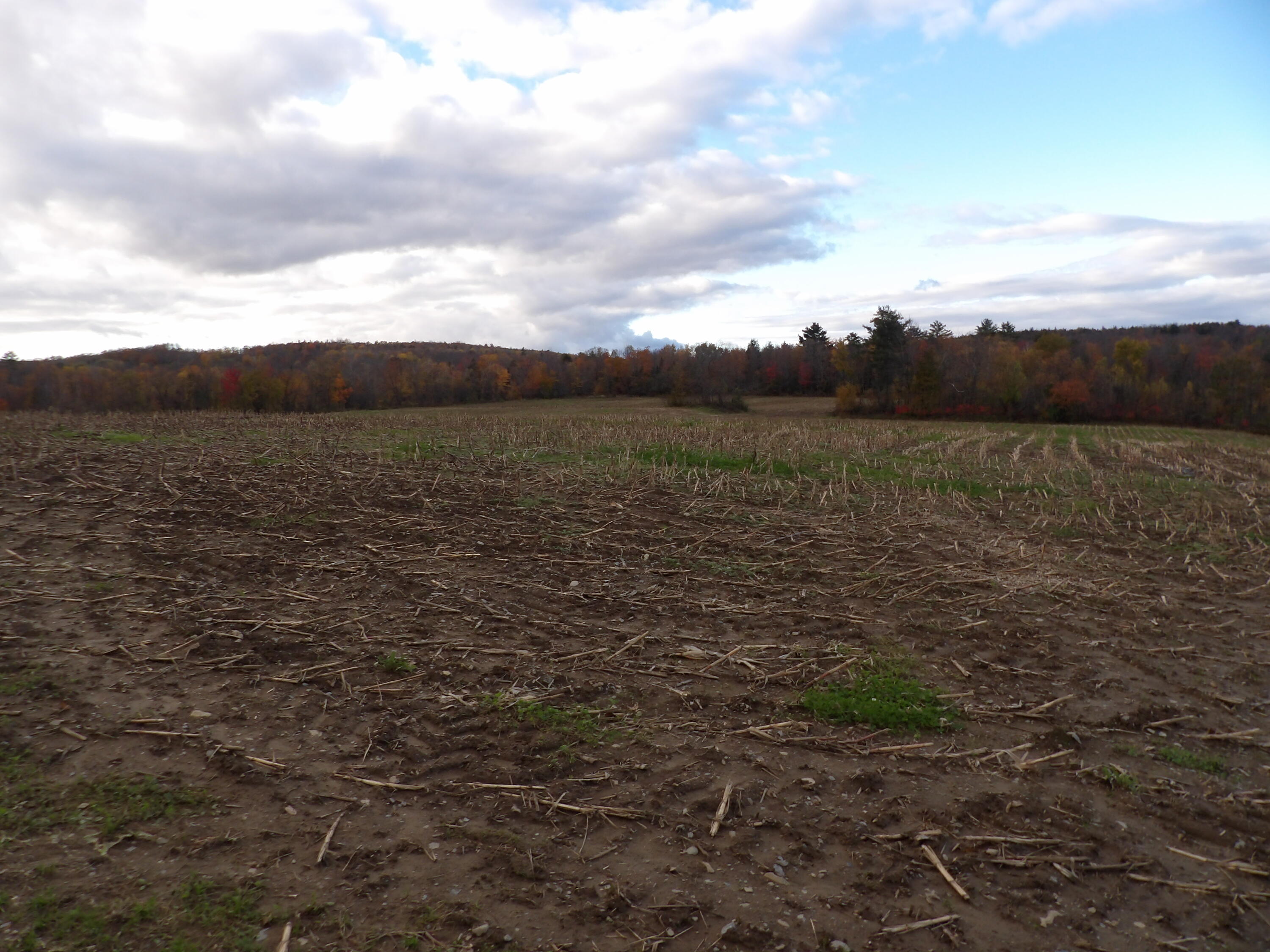 38 Atkinson Road Charleston, ME 04422 - Photo 57 of 68 100_0509