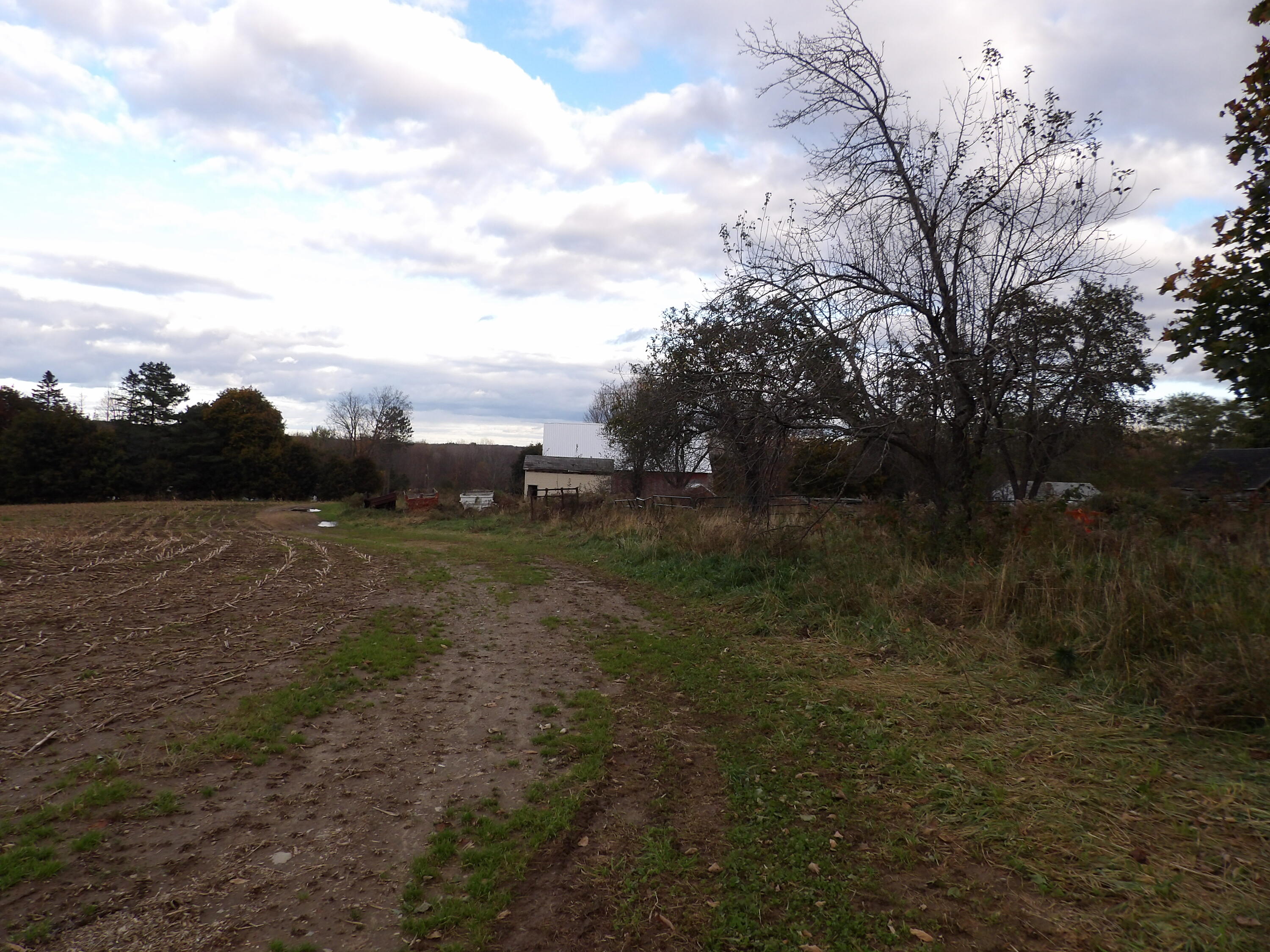 38 Atkinson Road Charleston, ME 04422 - Photo 58 of 68 100_0503