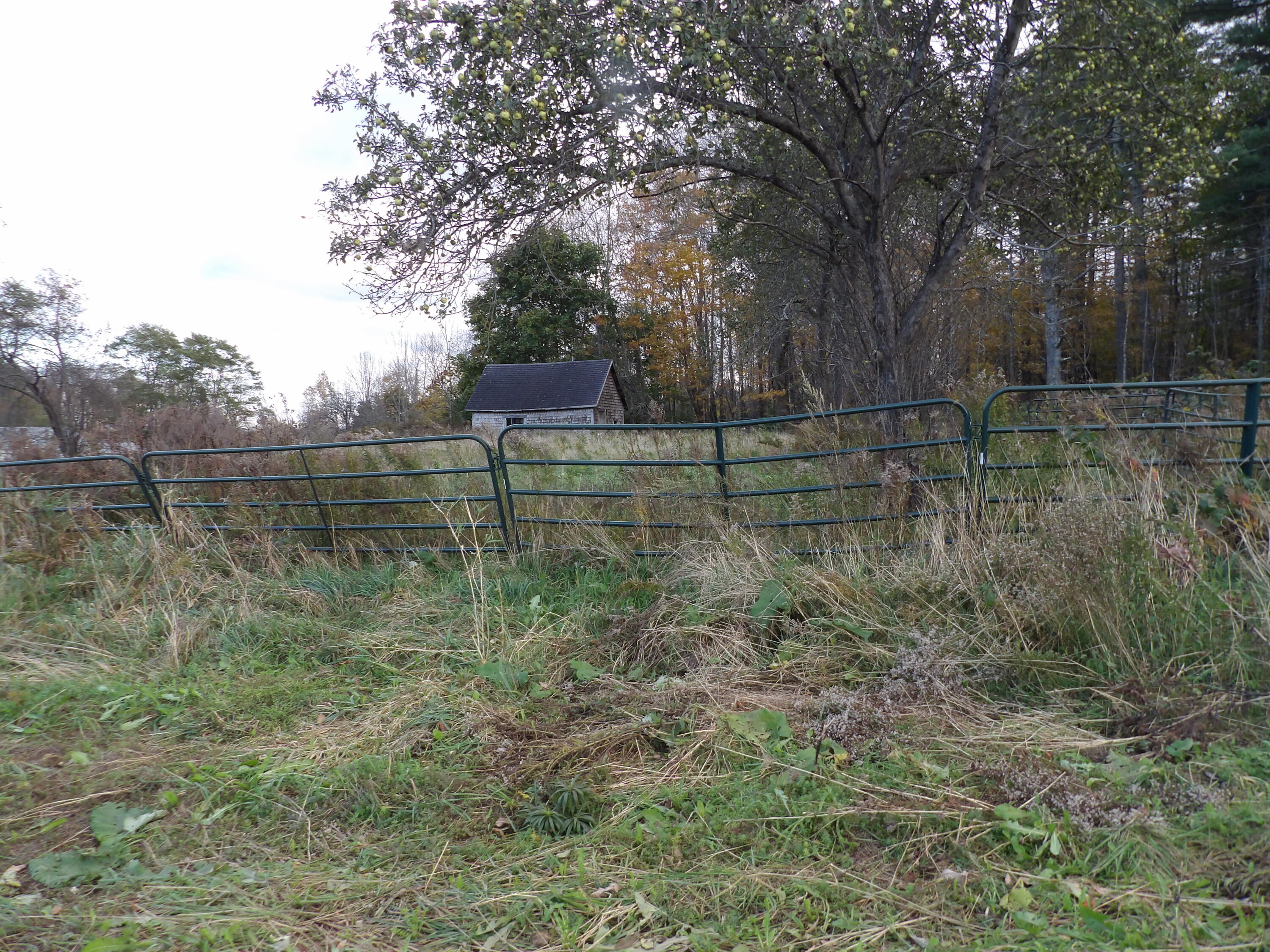 38 Atkinson Road Charleston, ME 04422 - Photo 61 of 68 100_0508