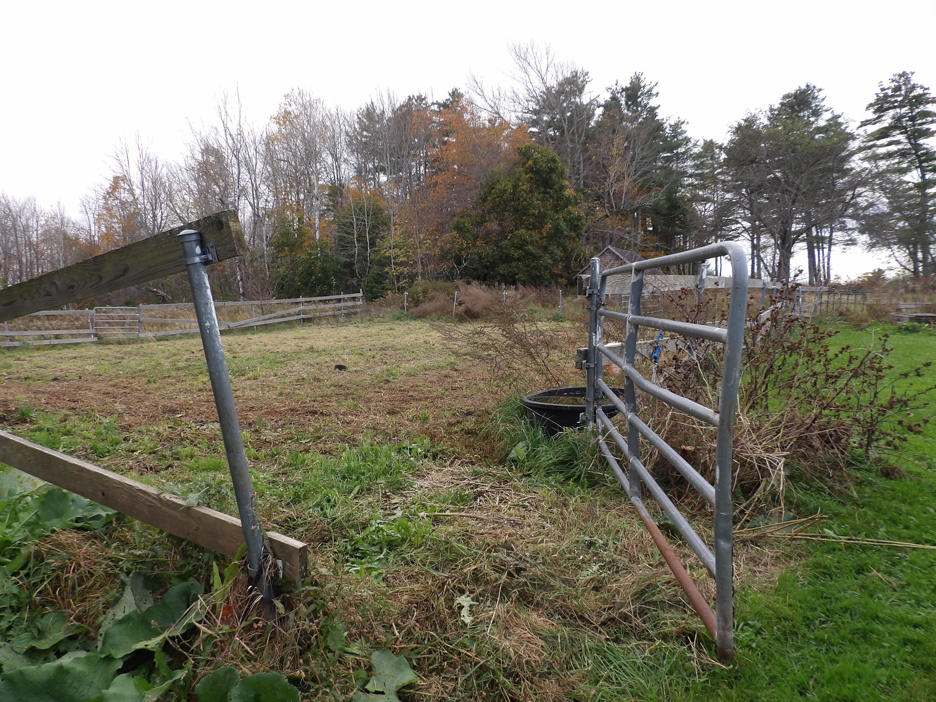 38 Atkinson Road Charleston, ME 04422 - Photo 63 of 68 100_0497