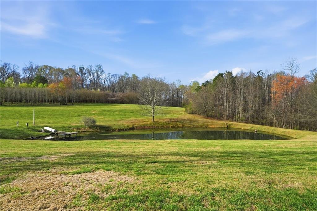 7755 Blacks Mill Road Dawsonville, GA 30534 - Photo 6 of 9