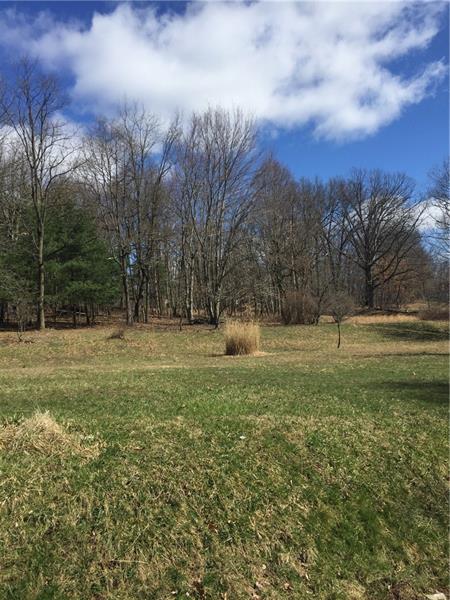 1908 Sohn Road Aliquippa, PA 15001 - Photo 3 of 23 Beautiful views from the front door.