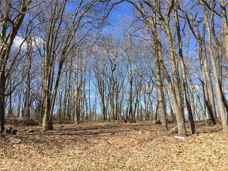 1908 Sohn Road Aliquippa, PA 15001 - Photo 22 of 23 Very calming and relaxing. Nothing but peace and quiet.