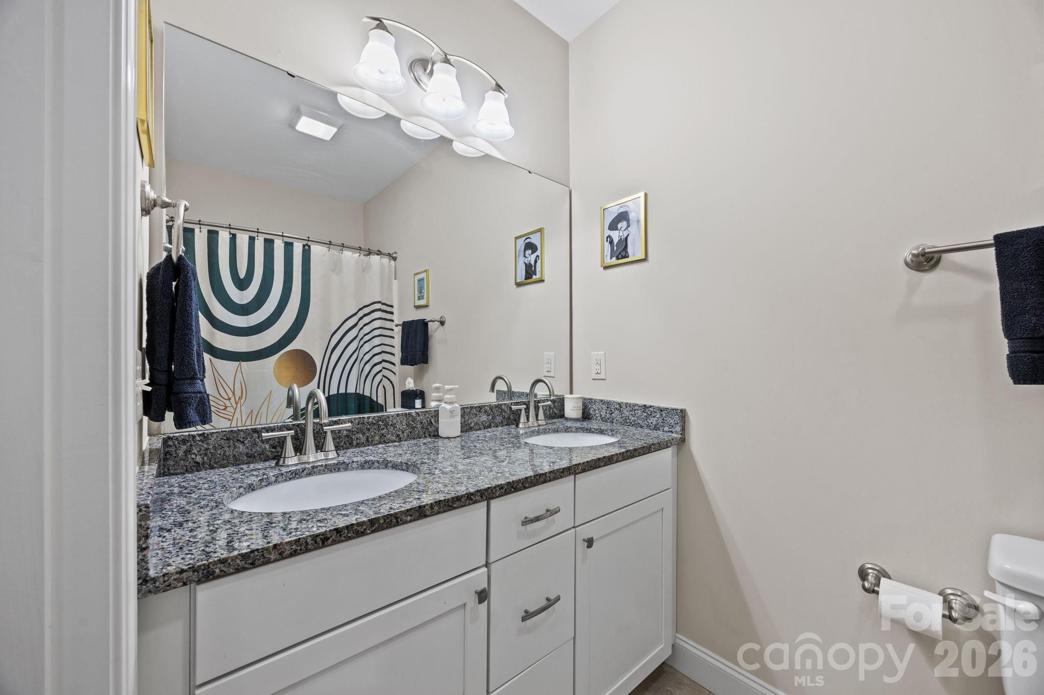 3 Dreambird Road Leicester, NC 28748 - Photo 34 of 48 a bathroom with a sink a mirror and a light fixture