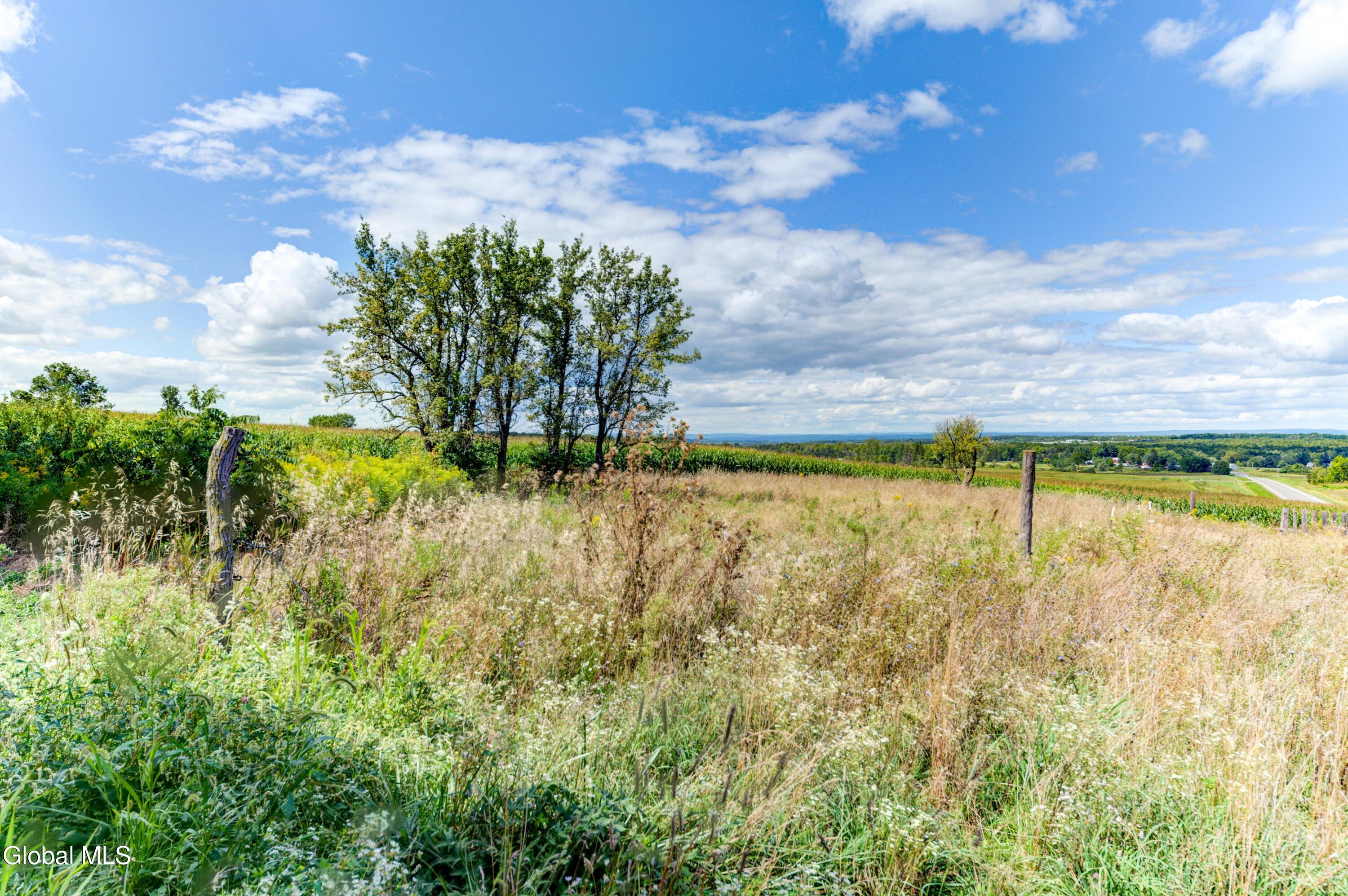 655 West Lykers Road Root, NY 12166 - Photo 66 of 69 70-655 Lykers
