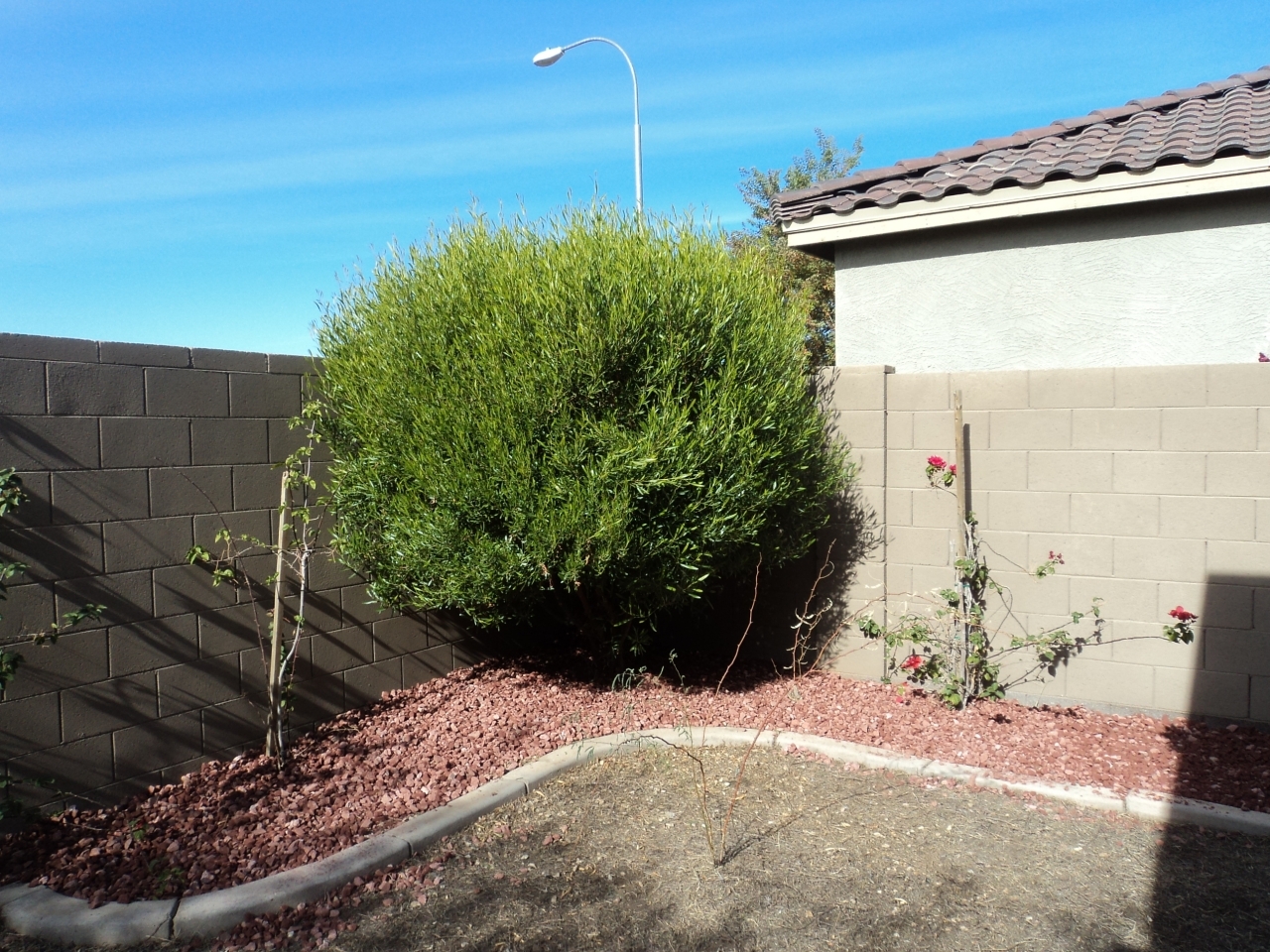 9436 West Eaton Road Phoenix, AZ 85037 - Photo 29 of 29 dsc00945