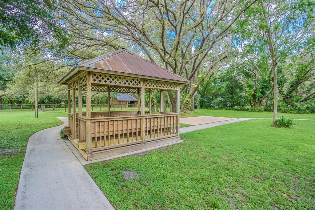 18110 30th Street Lutz, FL 33559 - Photo 34 of 54