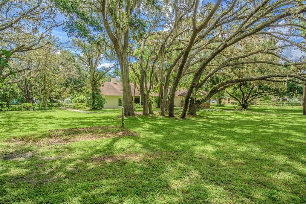 18110 30th Street Lutz, FL 33559 - Photo 43 of 54