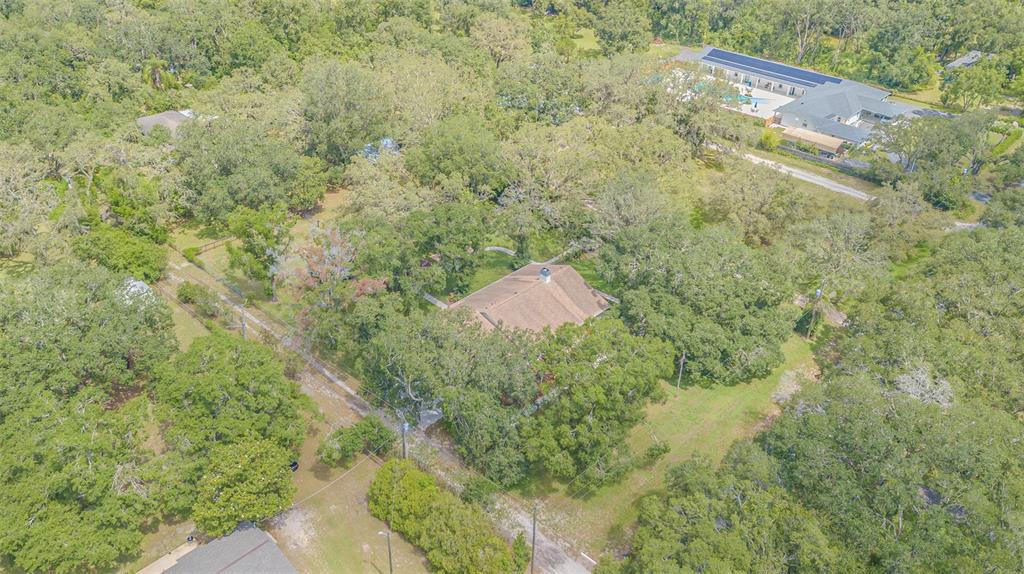 18110 30th Street Lutz, FL 33559 - Photo 48 of 54