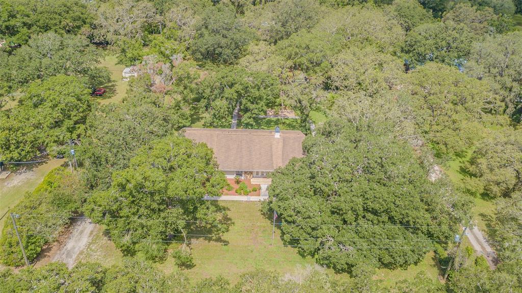 18110 30th Street Lutz, FL 33559 - Photo 49 of 54