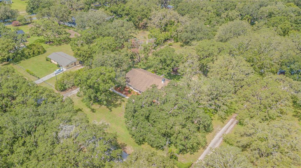 18110 30th Street Lutz, FL 33559 - Photo 50 of 54