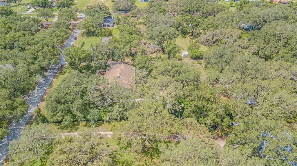 18110 30th Street Lutz, FL 33559 - Photo 51 of 54