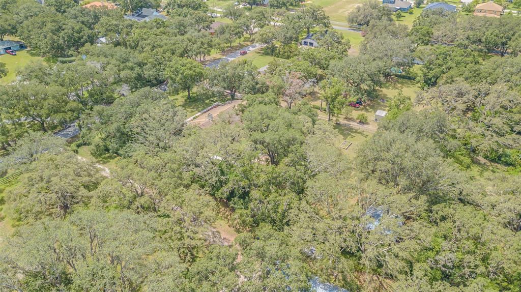 18110 30th Street Lutz, FL 33559 - Photo 52 of 54