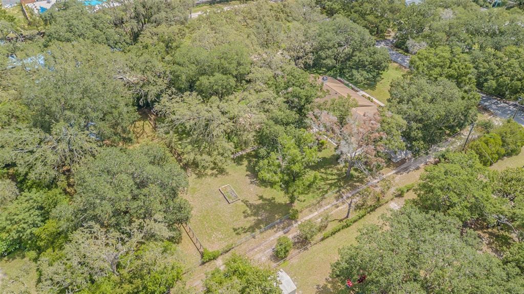 18110 30th Street Lutz, FL 33559 - Photo 54 of 54