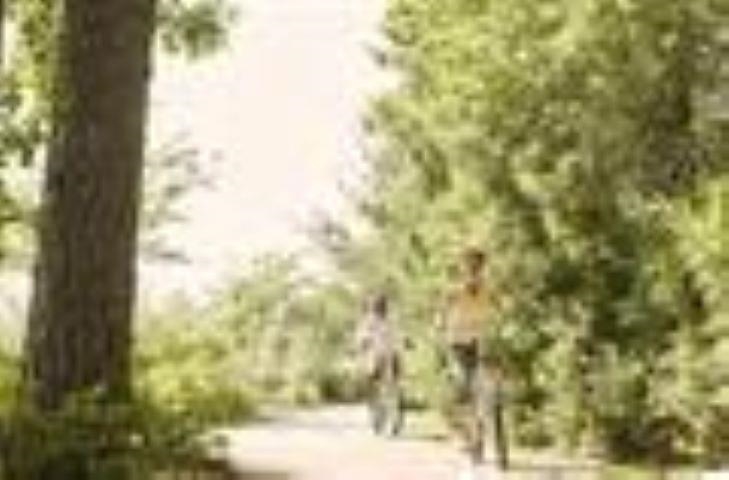 404 Sea Breeze Way Longs, SC 29568 - Photo 11 of 22