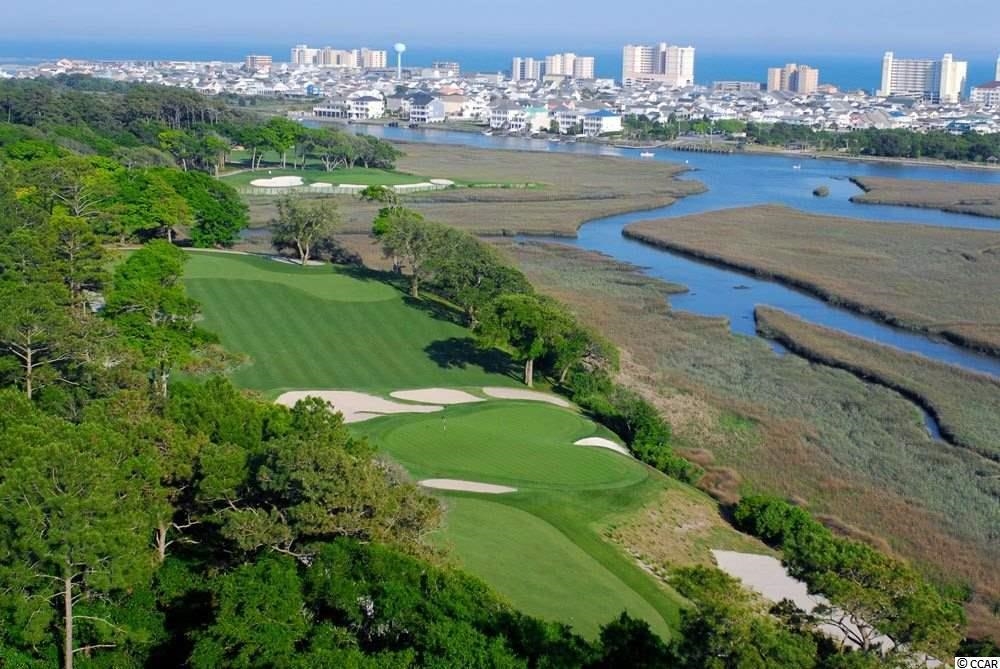 404 Sea Breeze Way Longs, SC 29568 - Photo 21 of 22