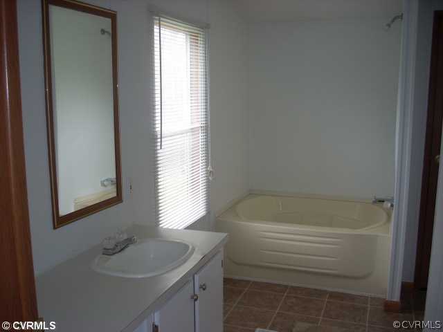 331 State Rte F 189 Louisa, VA 23093 - Photo 11 of 12 a bathroom with a sink and a bathtub