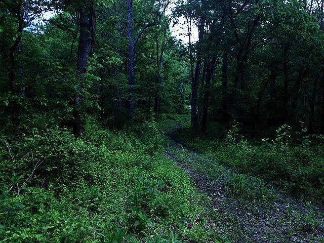 3179 Stoney Creek Road Chillicothe, OH 45601 - Photo 3 of 14