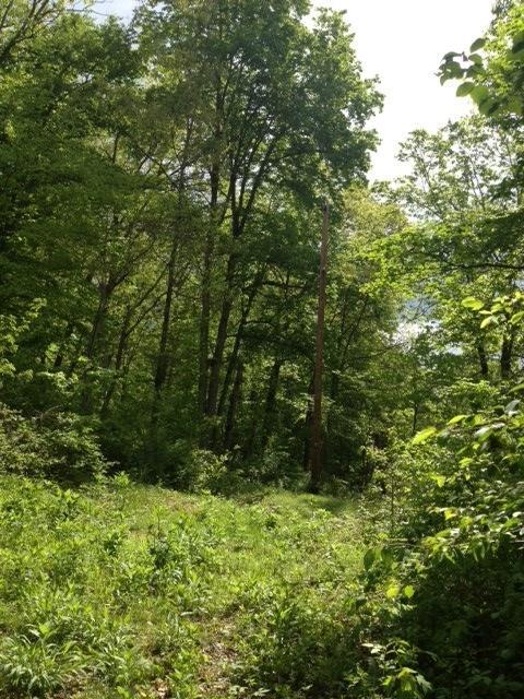 3179 Stoney Creek Road Chillicothe, OH 45601 - Photo 5 of 14
