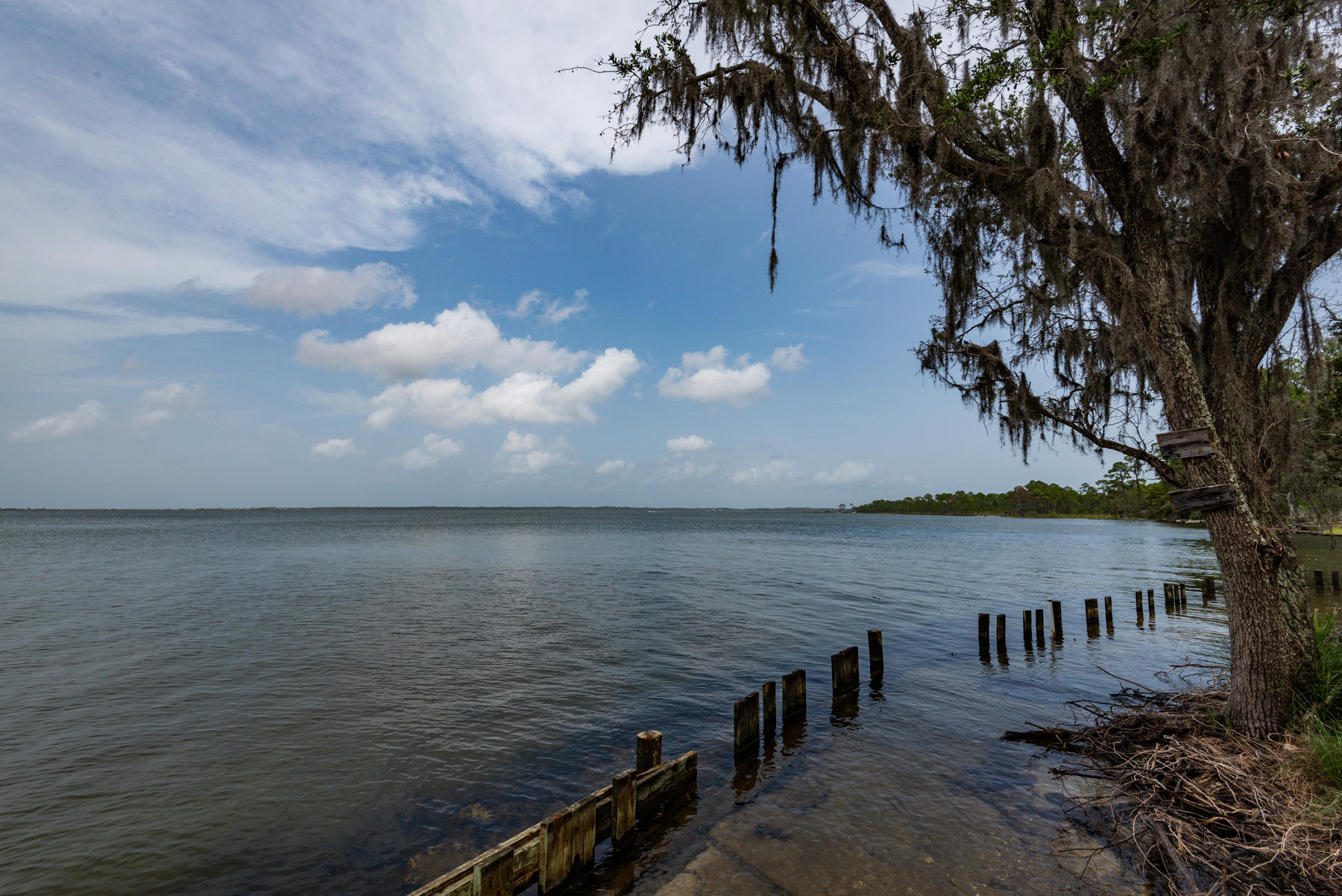 69 Topsail Drive Santa Rosa Beach, FL 32459 - Photo 31 of 34 a view of an ocean with trees