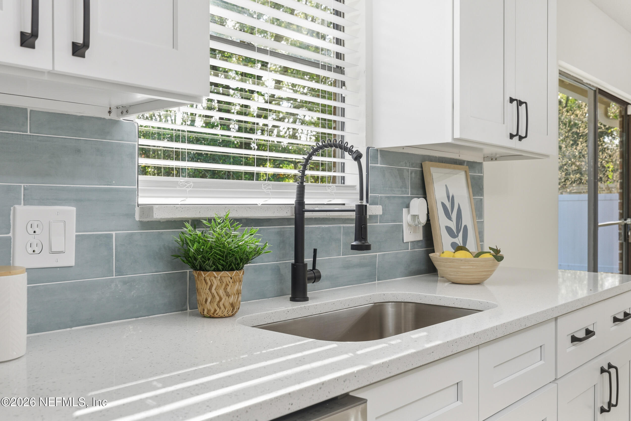 2171 Carter Braxton Road Orange Park, FL 32073 - Photo 32 of 39 a kitchen with a sink and a potted plant