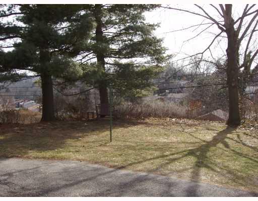 48 Robinhood Road Green Tree, PA 15220 - Photo 3 of 12 Yard/Garden.