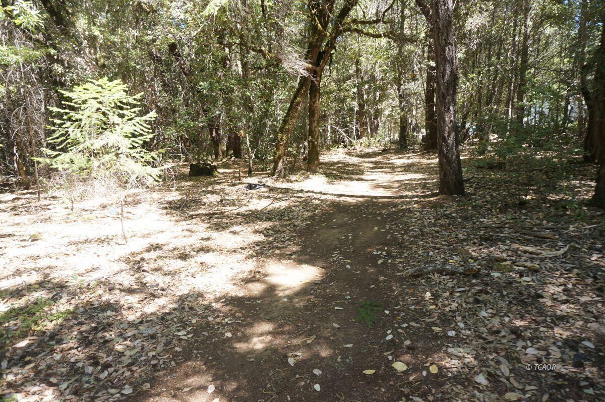 30 Suzy Q Road Salyer, CA 95563 - Photo 2 of 9 a view of water yard with trees
