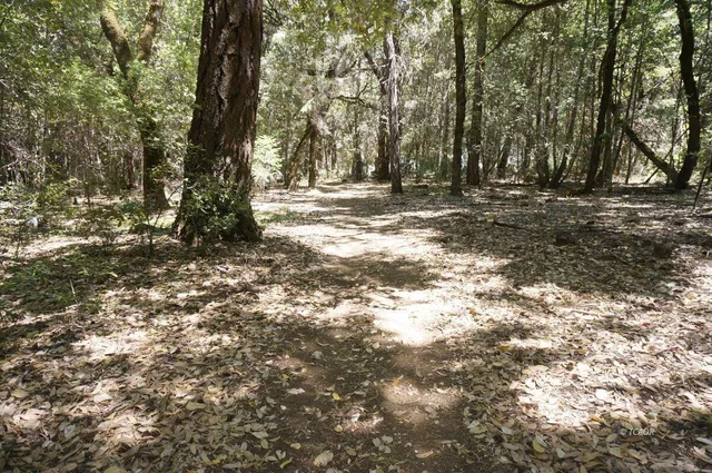 a view of outdoor space with trees