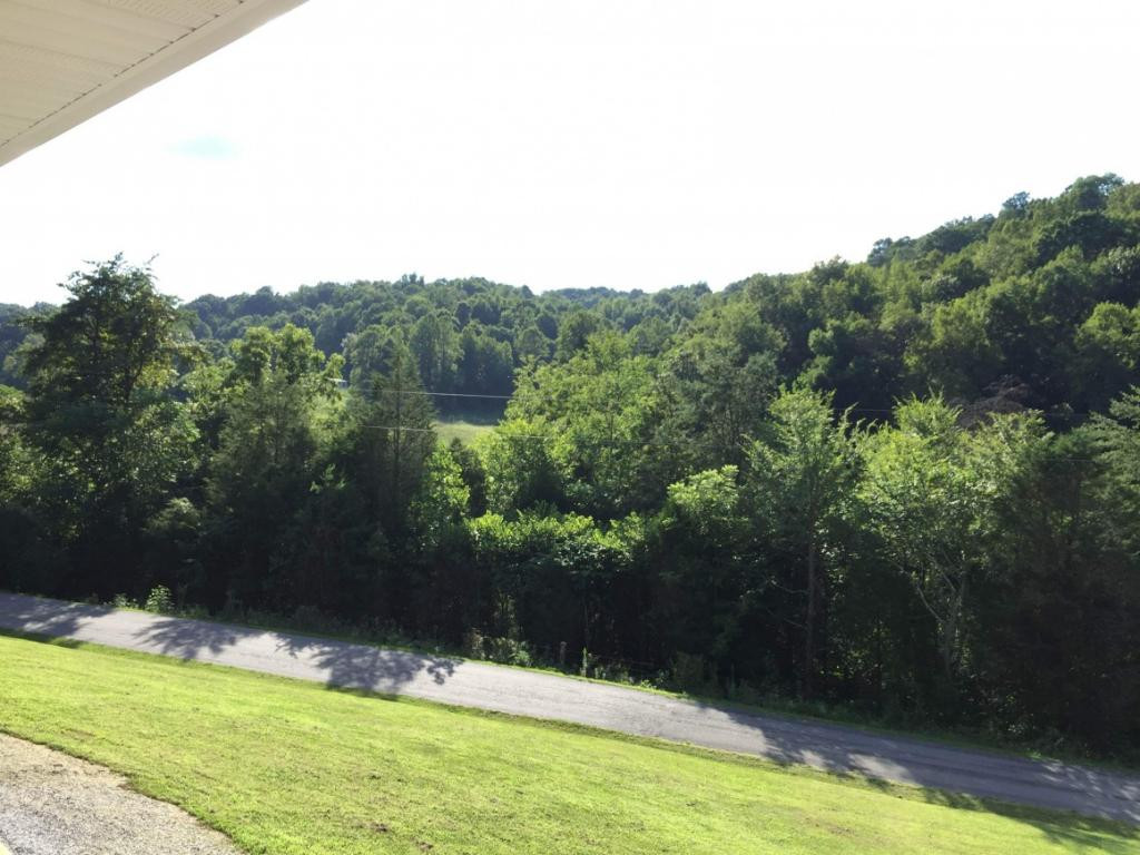 910 Betsy Ross Road Afton, TN 37616 - Photo 14 of 20 Photo 14