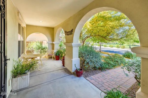 a view of hall with wooden floor and a potted plant