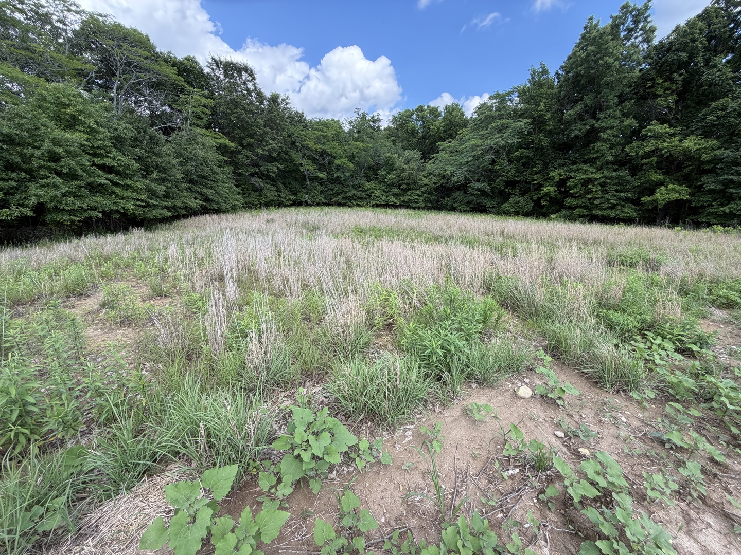 0 Landmark Road Iuka, IL 62849 - Photo 19 of 28