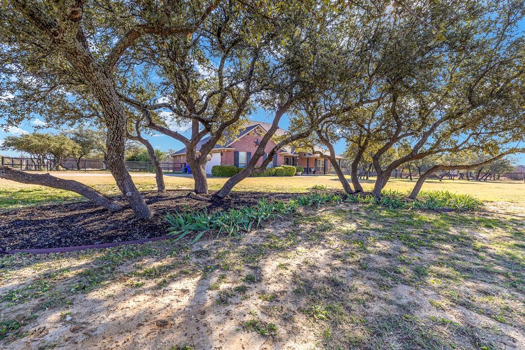 116 Miramar Circle Weatherford, TX 76085 - Photo 33 of 37 View of trees in front yard