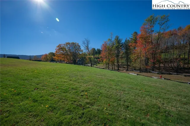 a view of a field of grass and trees