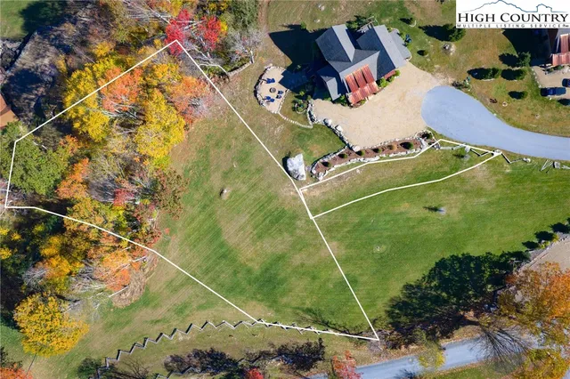 an aerial view of a tennis ground and a large tree