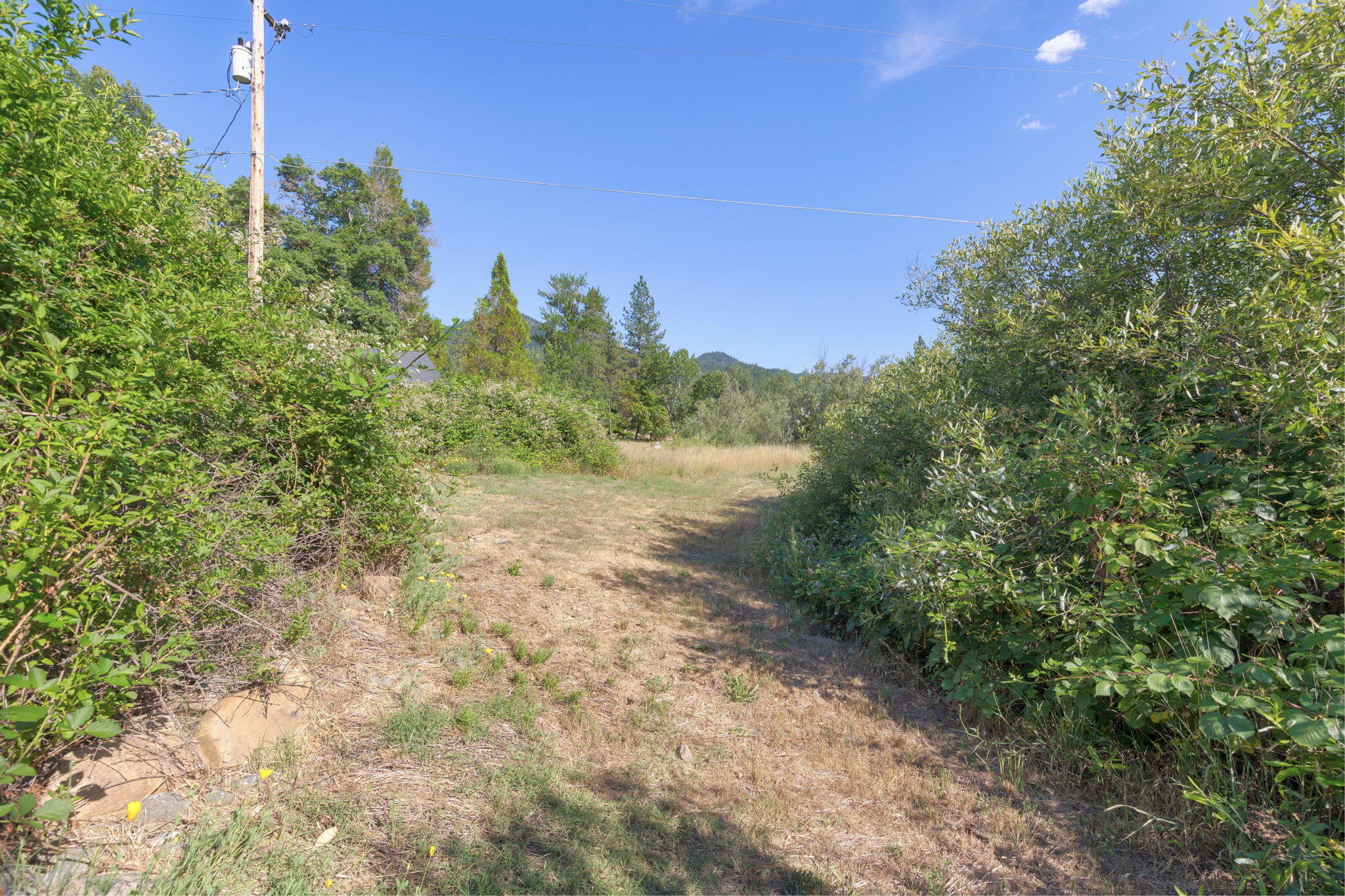 89 Queens Branch Road Rogue River, OR 97537 - Photo 25 of 44 25