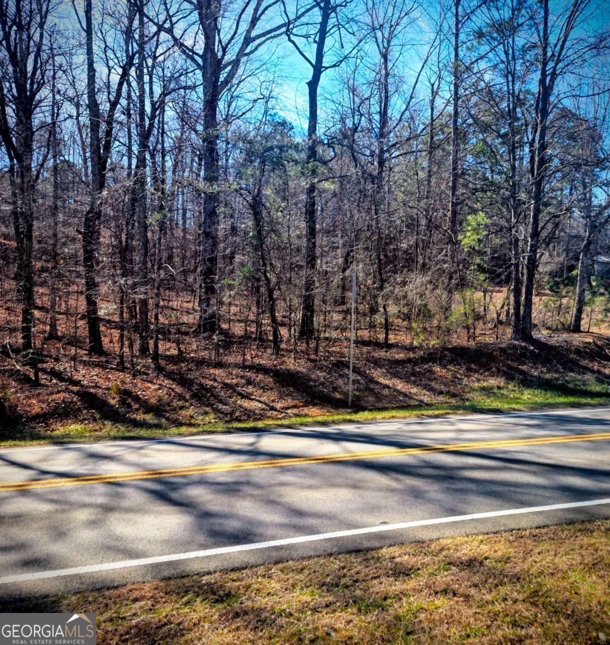 0 Cowart Mountain Tract 1 Road Jasper, GA 30143 - Photo 6 of 13