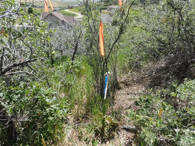 $207,900 | 5760 Country Club Drive, Larkspur, CO 80118