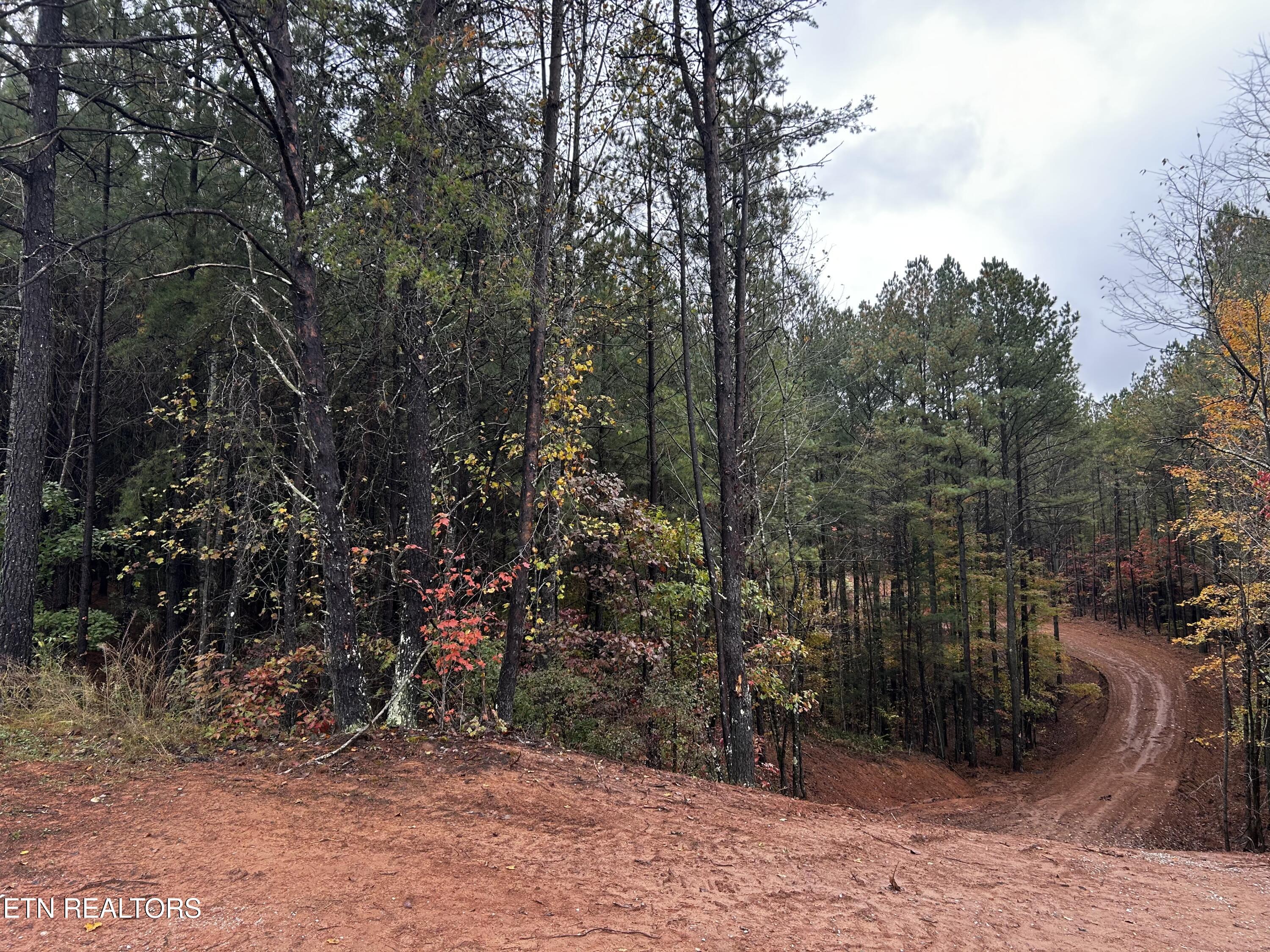 Ballplay Road Madisonville, TN 37354 - Photo 3 of 5 IMG_7607