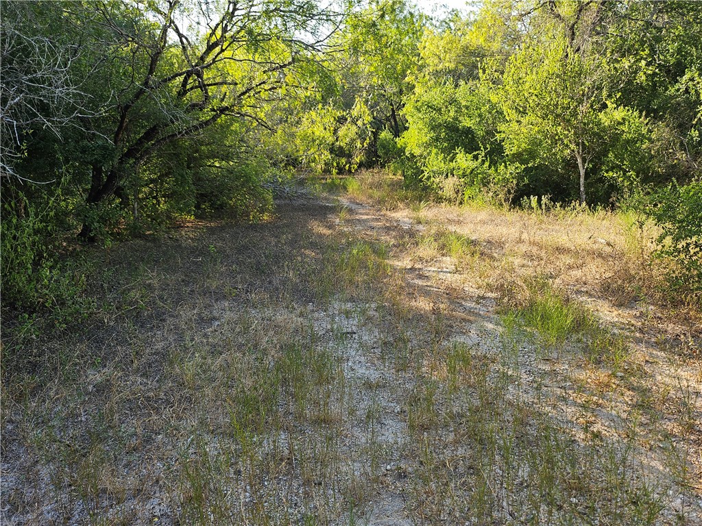 24024 441st Circle Mathis, TX 78368 - Photo 47 of 57 Gallery Image 47