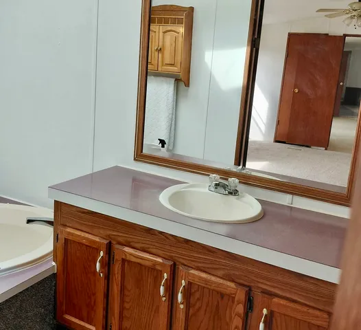 a bathroom with a sink and a mirror