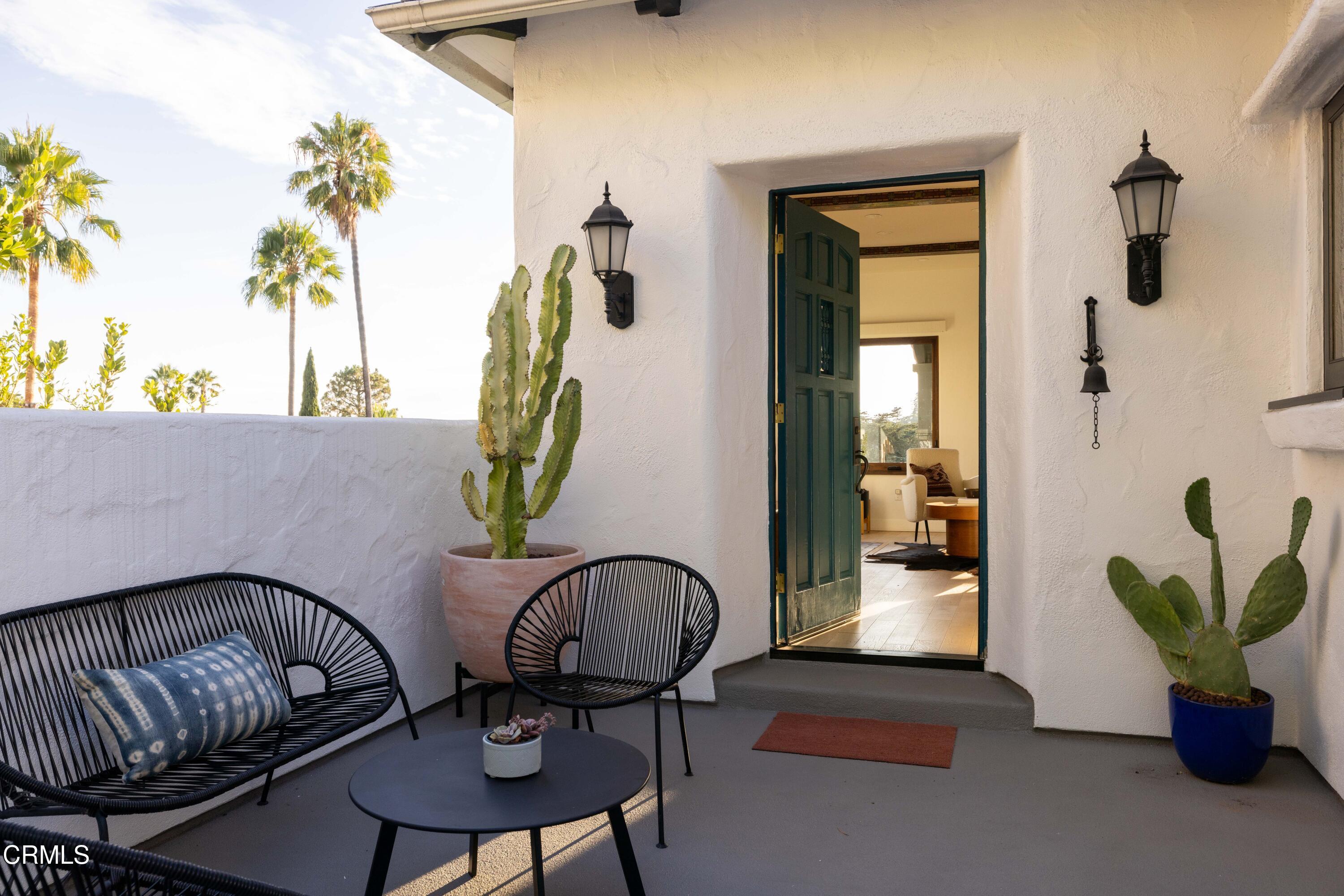 a living room with furniture flowerpot and a potted plant
