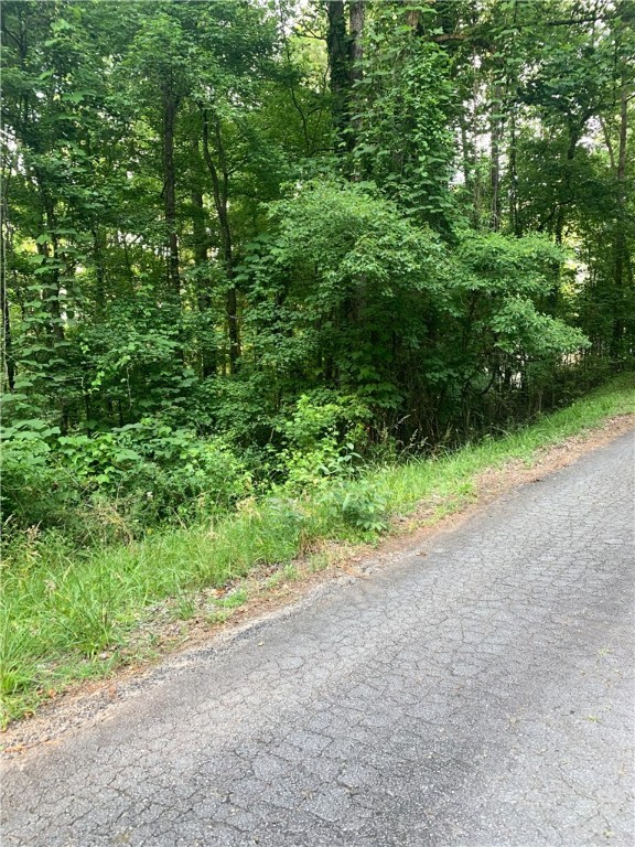 0 Logans Way Seneca, SC 29678 - Photo 1 of 12