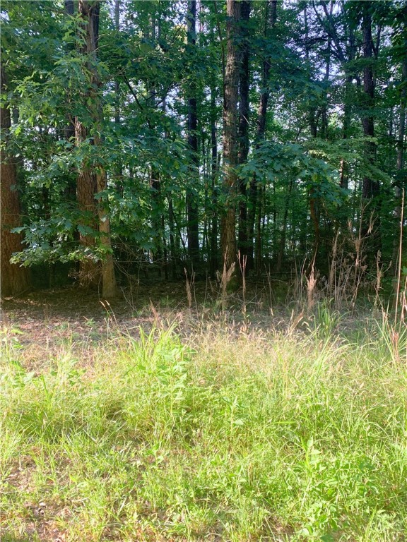 0 Logans Way Seneca, SC 29678 - Photo 11 of 12