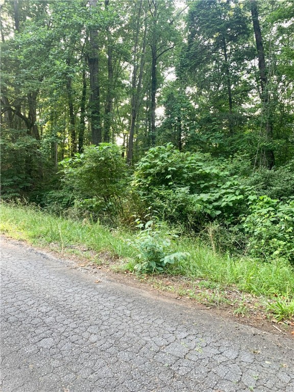 0 Logans Way Seneca, SC 29678 - Photo 2 of 12