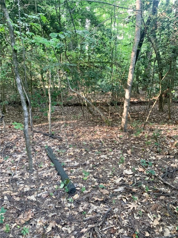 0 Logans Way Seneca, SC 29678 - Photo 3 of 12