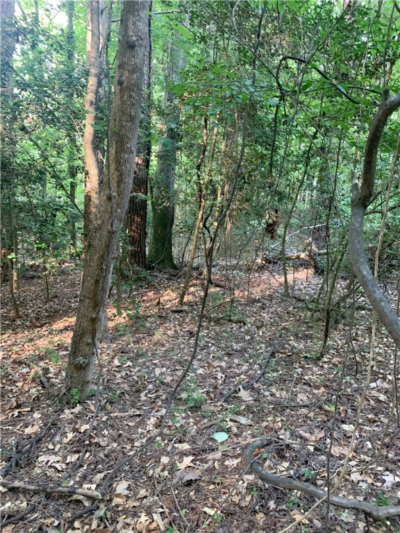 0 Logans Way Seneca, SC 29678 - Photo 4 of 12