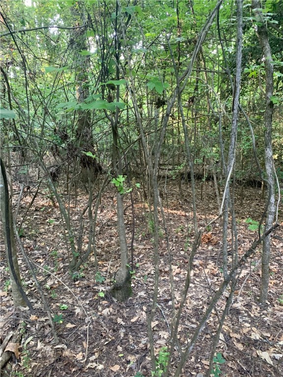 0 Logans Way Seneca, SC 29678 - Photo 5 of 12