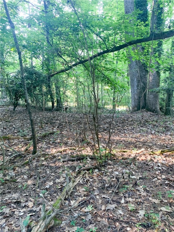 0 Logans Way Seneca, SC 29678 - Photo 6 of 12