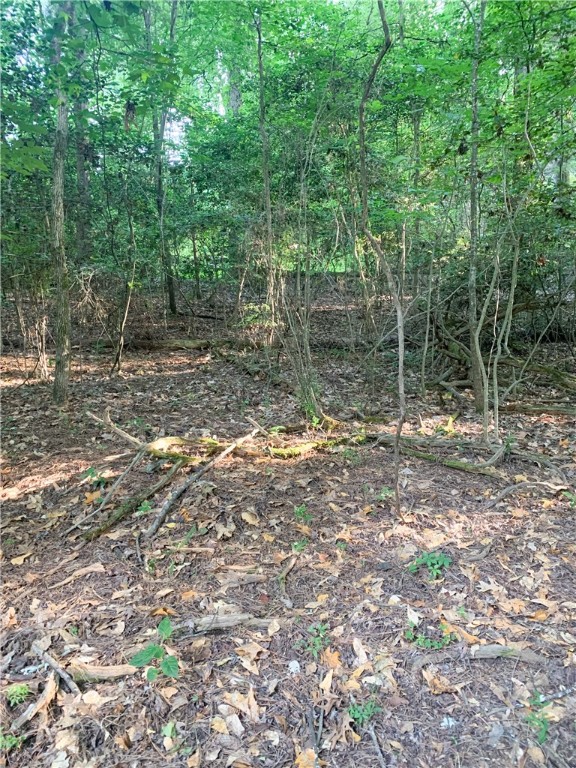 0 Logans Way Seneca, SC 29678 - Photo 7 of 12