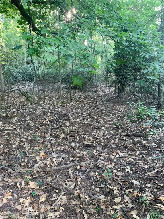 0 Logans Way Seneca, SC 29678 - Photo 8 of 12